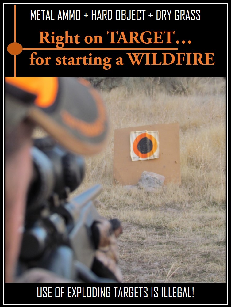 picture of man shooting a gun at rock in dry grass