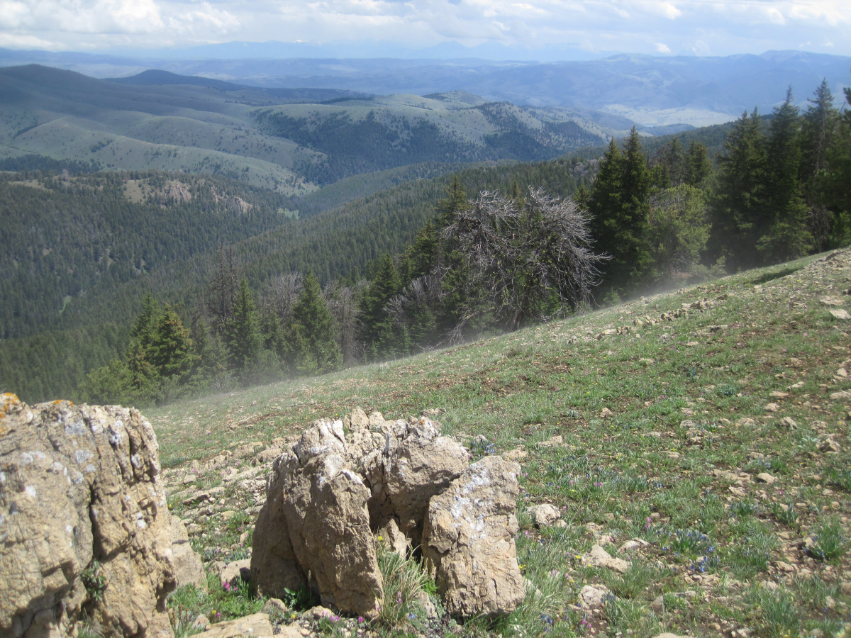 Landscape with rocks trees and mountains in the distance