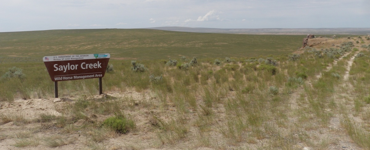 Saylor Creek Wild Horse HMA signage