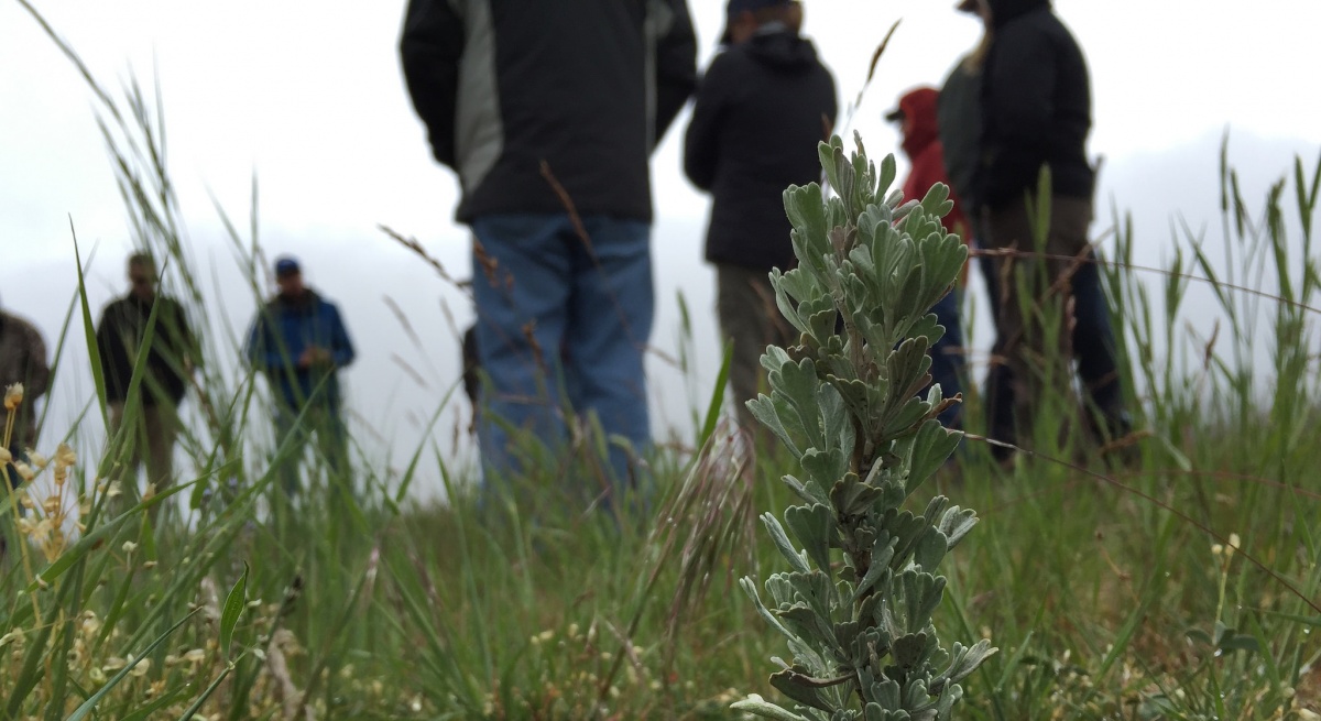 Members of the public meet outdoors, BLM photo