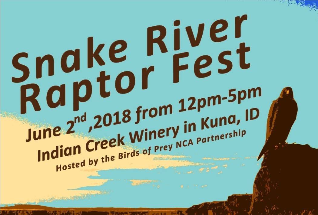 2018 Snake River Raptor Fest Poster