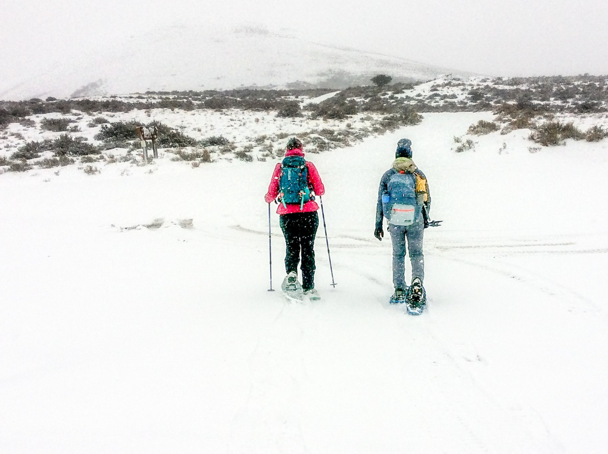 Snowshoeing in Little Jacks Creek Wilderness