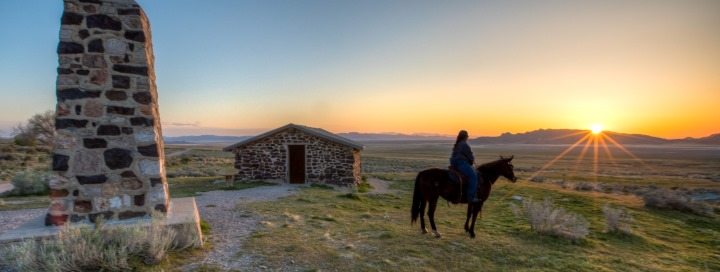 Pony at Springs Station with sunset in background; west desert district, UTAH