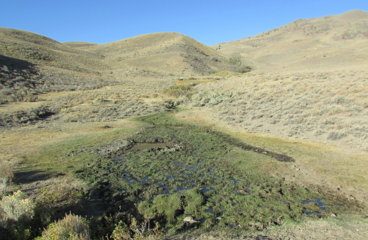 Aspen Spring_Buffalo Hills HMA