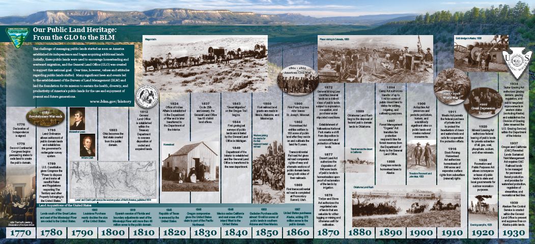 BLM visual timeline cover