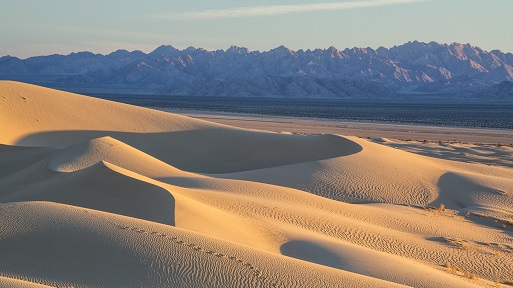 Landscape view of the Mojave Desert National Monument in California. Photo by Bob Wick, BLM