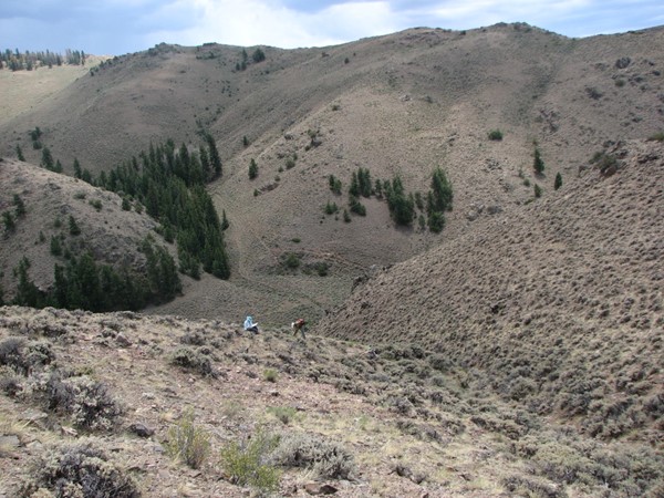 Skiff milkvetch habitat