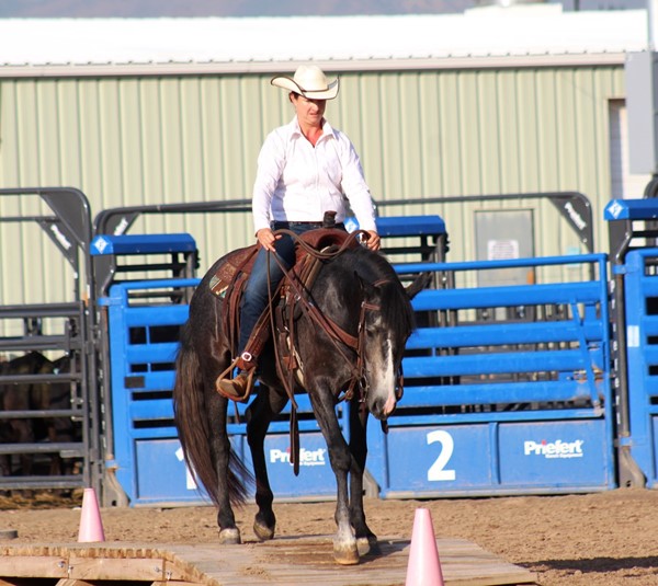 Wyatt Earp was adopted by a Wyoming dude ranch