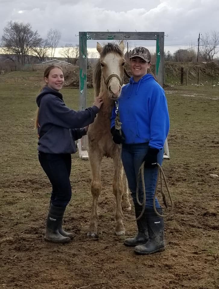 Kodiak with 4-H Members