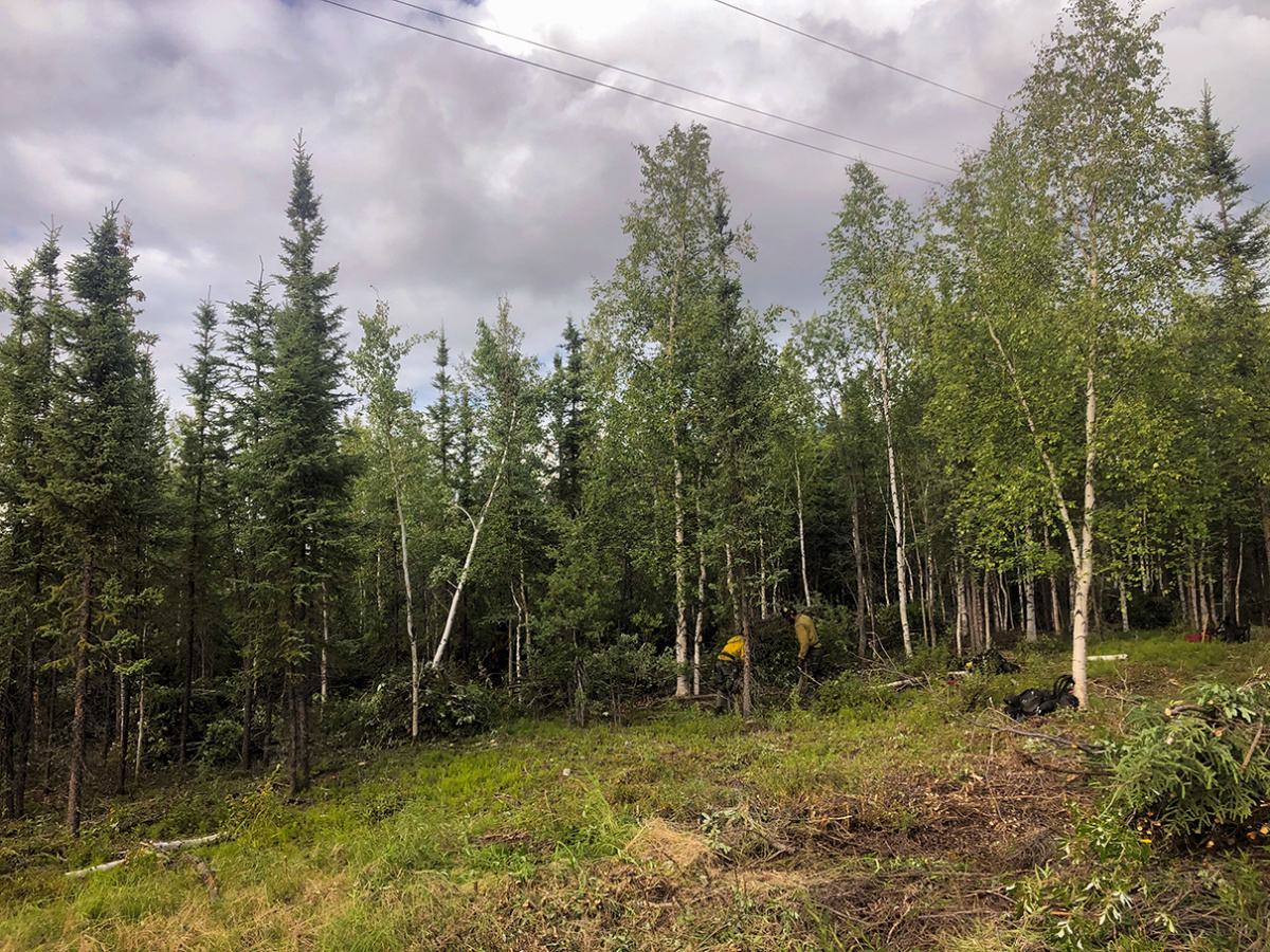 two firefighters cutting tree limbs in woods