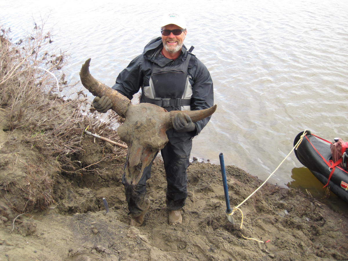 Man holding bison skull