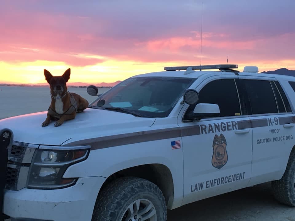 K-9 Officer Vico sitting alert atop his ranger vehicle