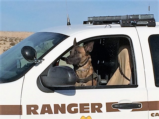 K-9 Officer Hoost