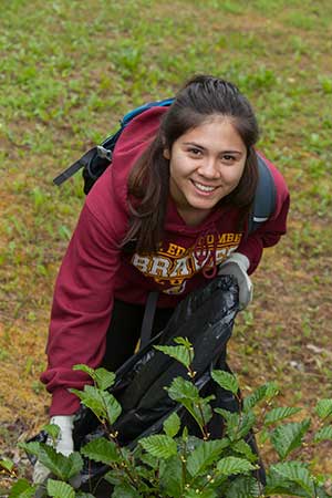 ANSEP intern Patrice DeAsis removing invasive plants and putting them in a trash bag.