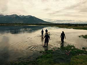 Interns for the BLM Colorado San Luis Valley Field Office and Environment for the Americas retrieve ducks from a trap to tag them for research. 