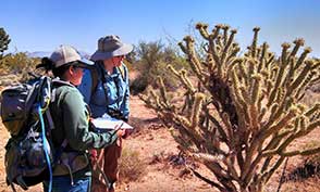 Arizona region photo