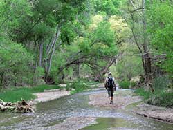 Careers: Working at BLM: Location Arizona