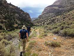 Careers: Working at BLM: Location Nevada