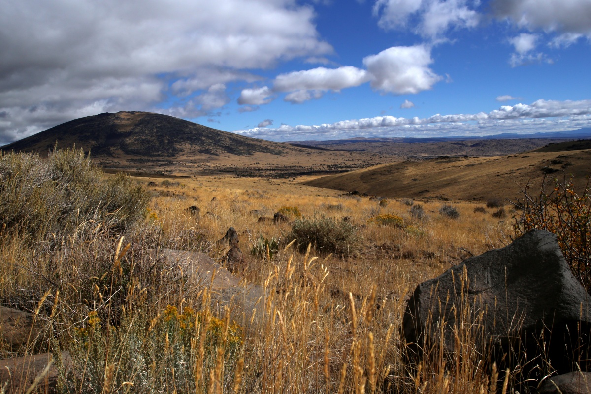 A view into the Buffalo-Skedaddle Population Management Unit for greater sage-grouse. Photo by Jeff Fontana, BLM.