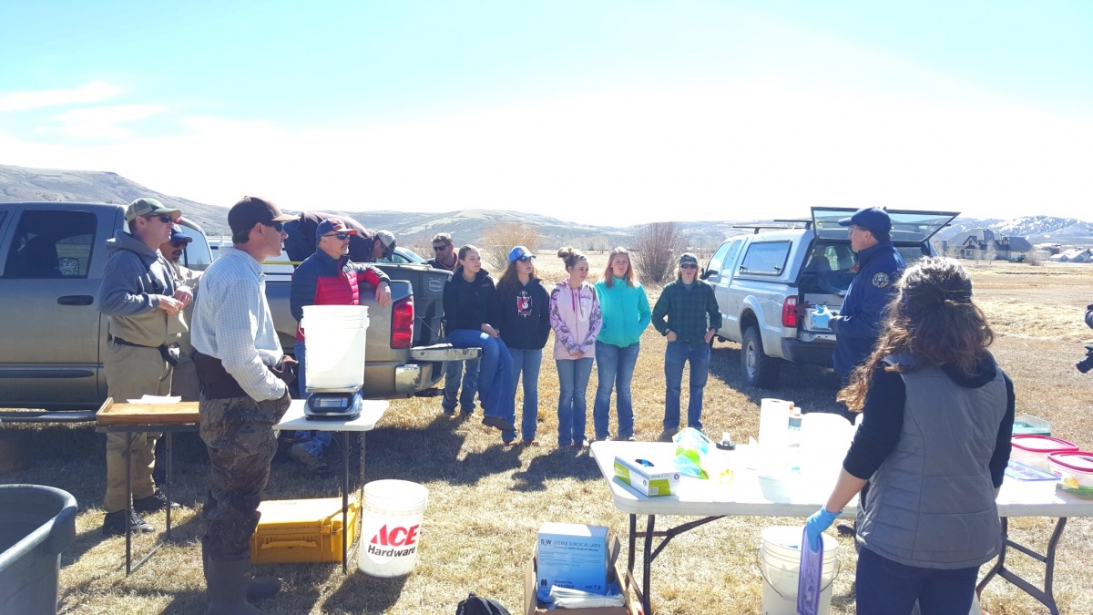 Gunnison High School students learn about the Tomichi Creek research project. Photo by Briant Wiles.