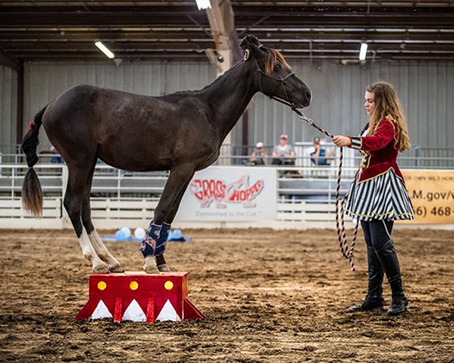 Denali and her horse Minco during the freestyle class.