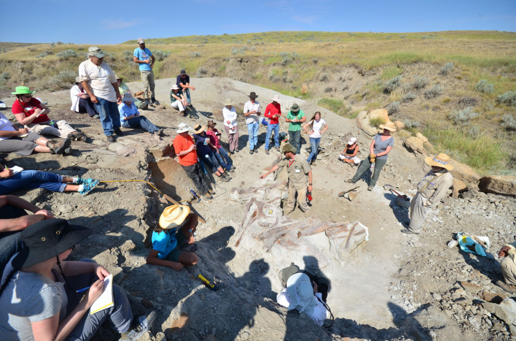 Dig Field School