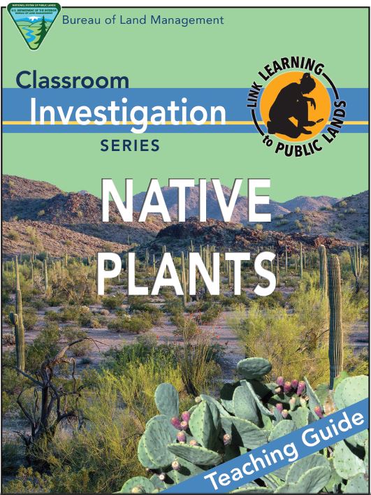 Native Plants Classroom Investigation