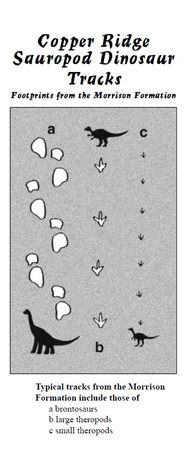 copper ridge dinosaur tracks