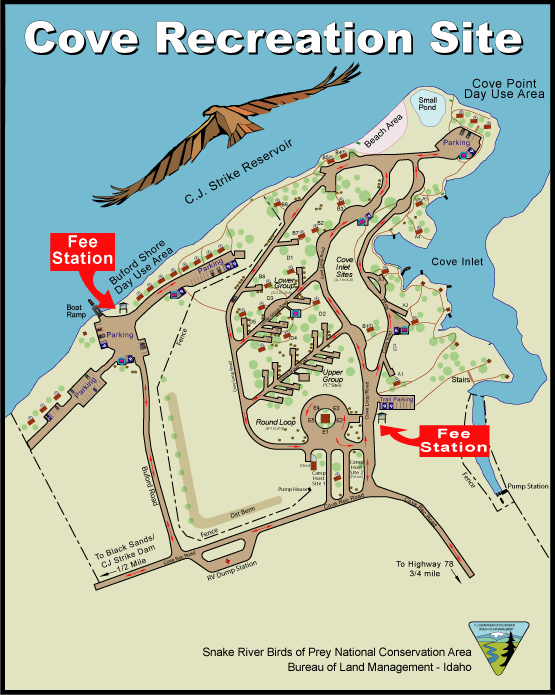 Cove Reading Program Directions And Maps