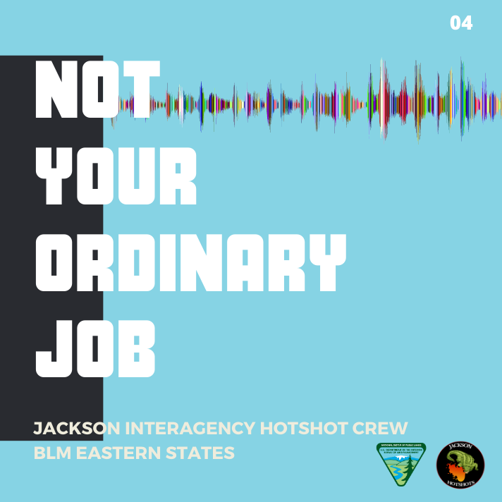 not_your_ordinary_job_podcast