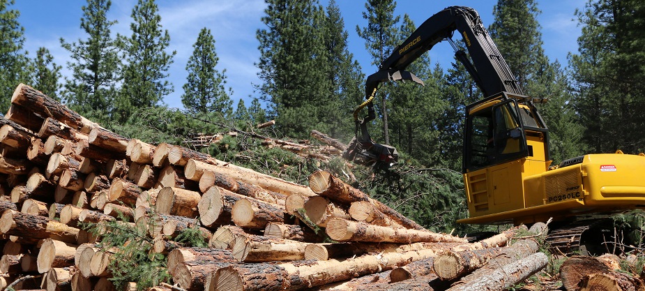 Western Oregon Forestry