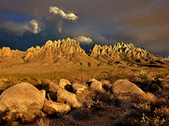 Organ Mountains