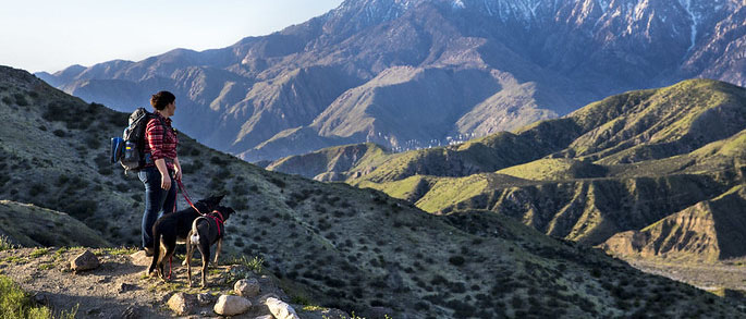 hiker and dog peer over vast landscape with mountains in background