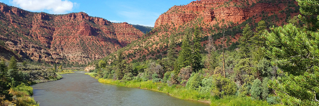 colorado bureau of land