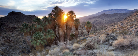 santa rosa and san jacinto mountains national monument bureau of