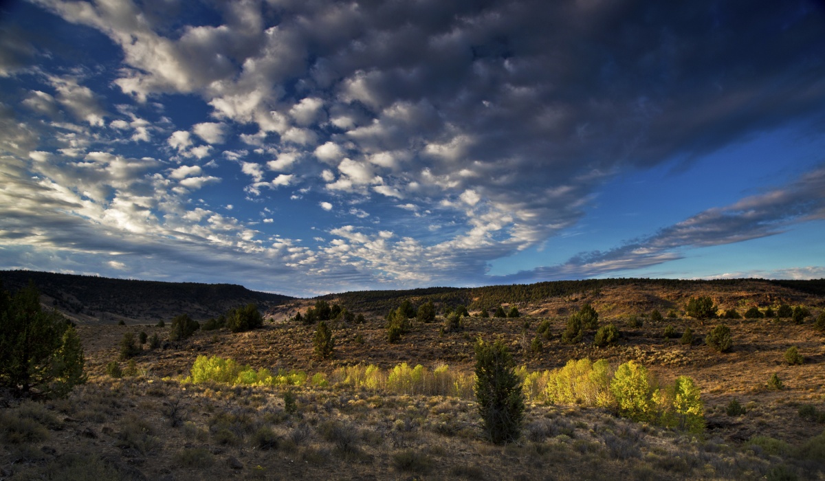 Day breaks in the desert along the Owyhee Uplands Backcountry Byway. Photo by Scott Carter, Artist in Resident.