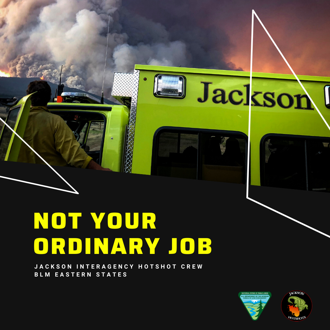 Not Your Ordinary Job