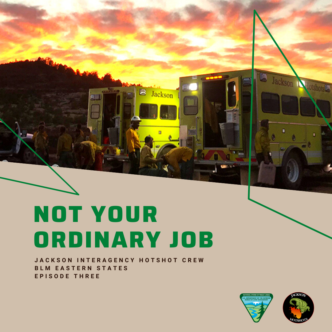 Not Your Ordinary Job