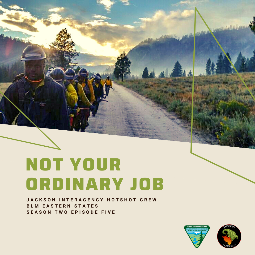 Not Your Ordinary Job