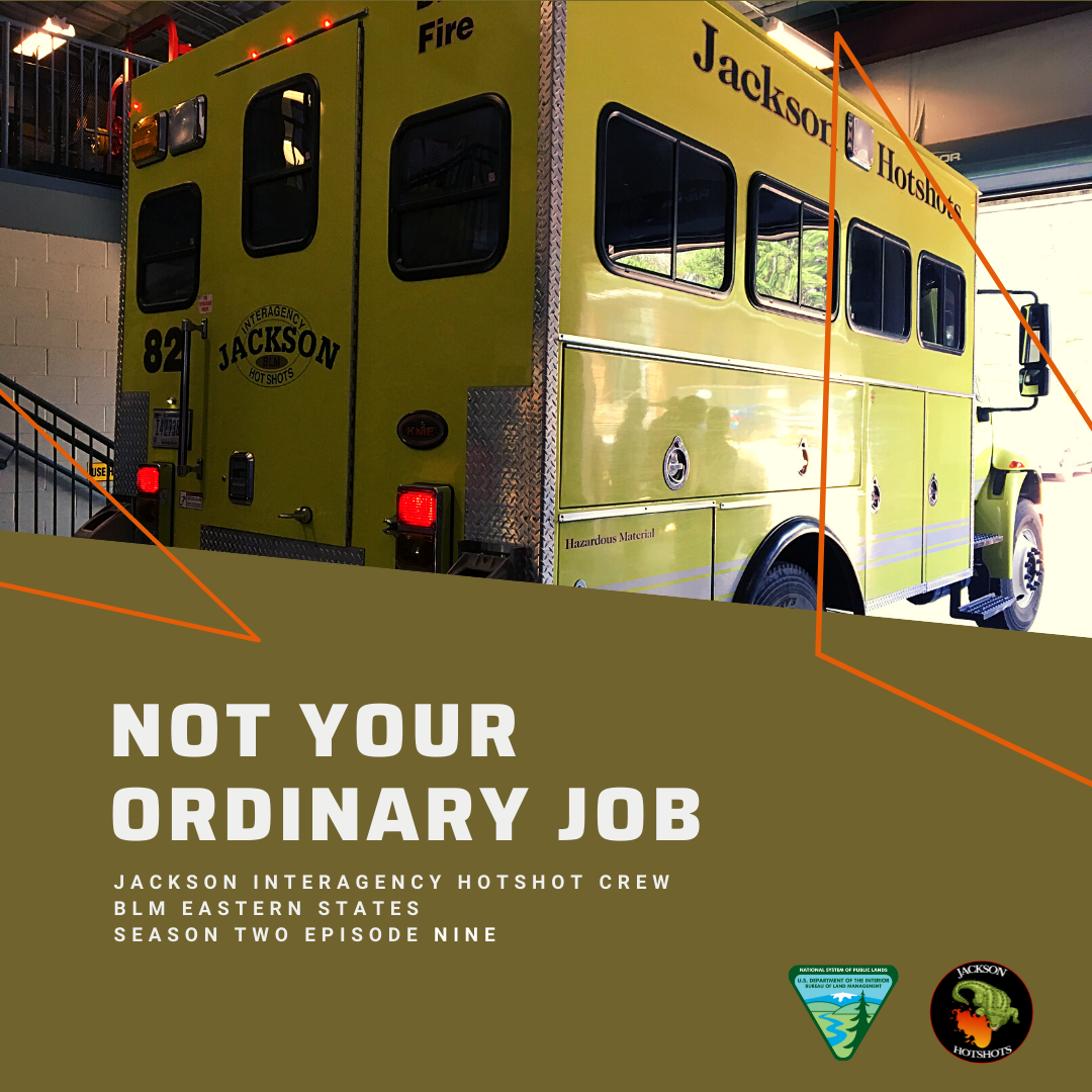 Not Your Ordinary Job