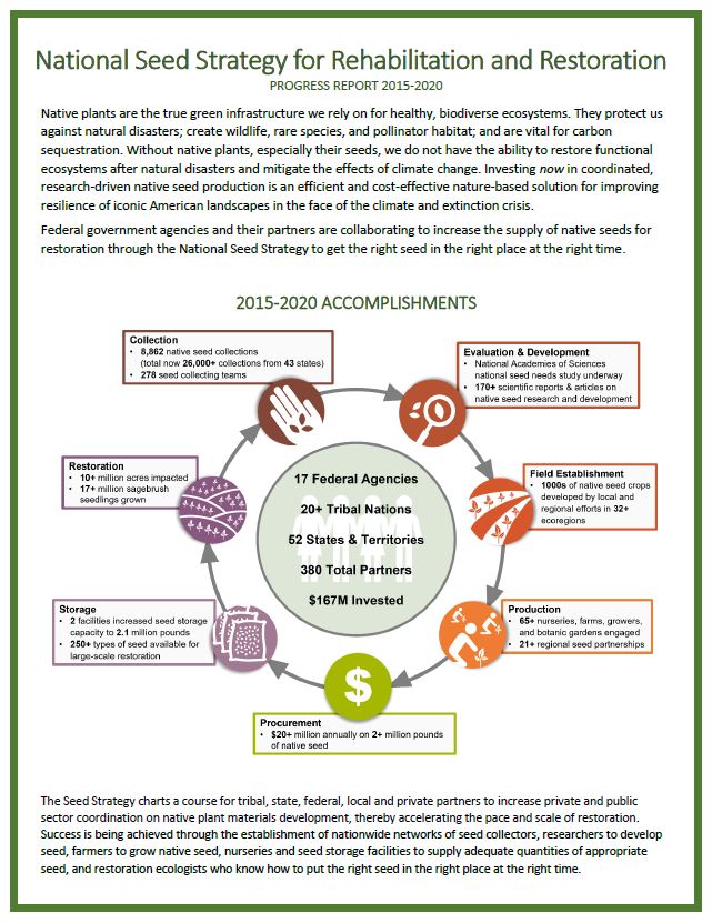 Front page of fact sheet on National Seed Strategy Progress Report, 2015-2020
