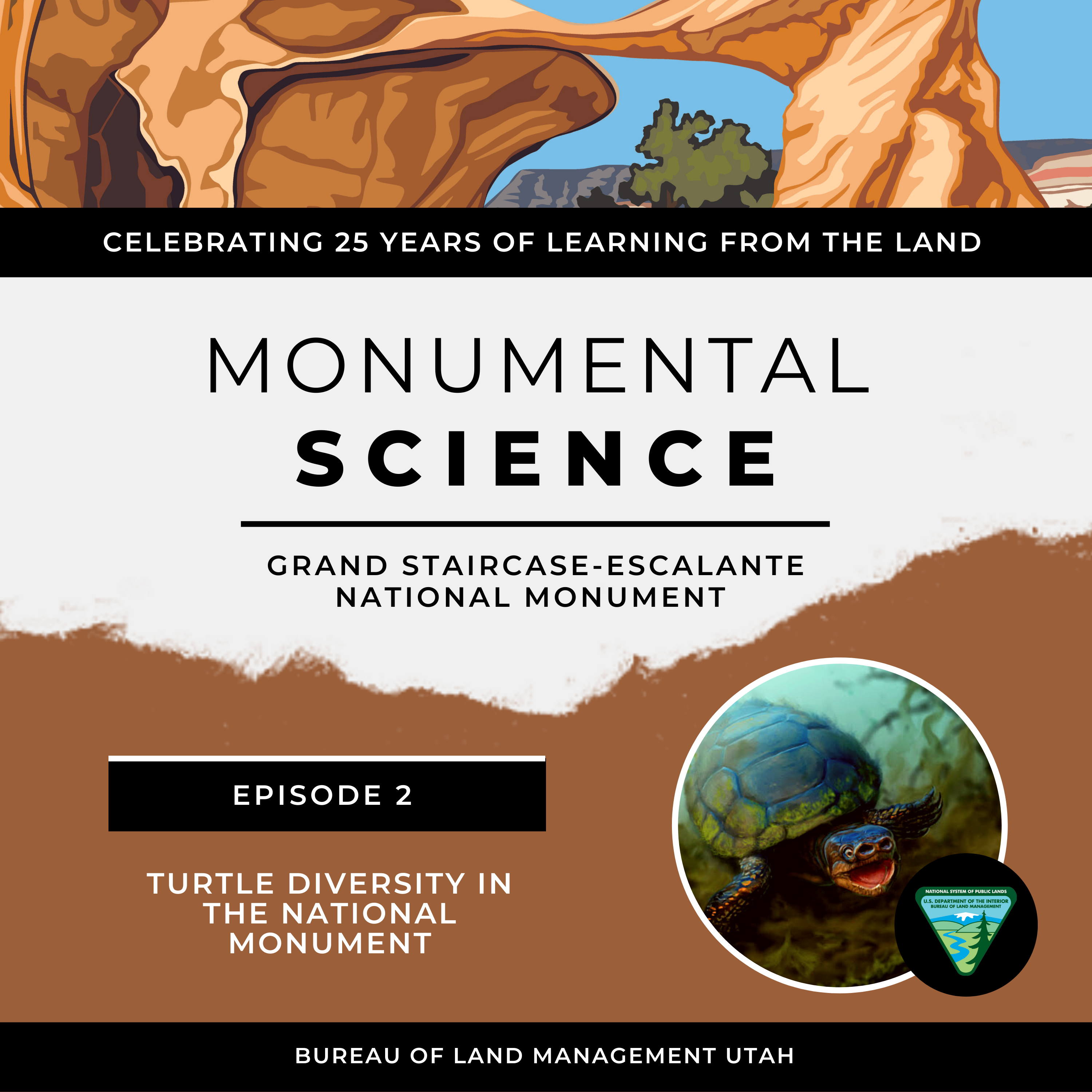 Monumental Science - Episode 2: Turtle Diversity