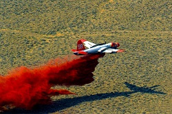 firefighter standing near burning tree