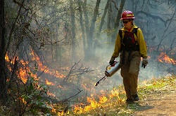 fire crew walking in formation