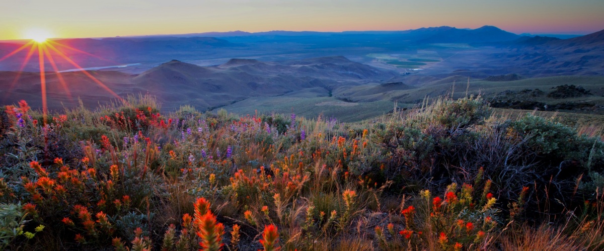 The sun rises over Pine Forest Range in Nevada.  Photo by Bob Wick, BLM.