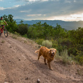 Crown Mtn Bike trail with dog