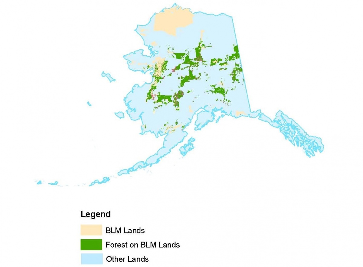 A map of the forested lands managed by the BLM in Alaska.