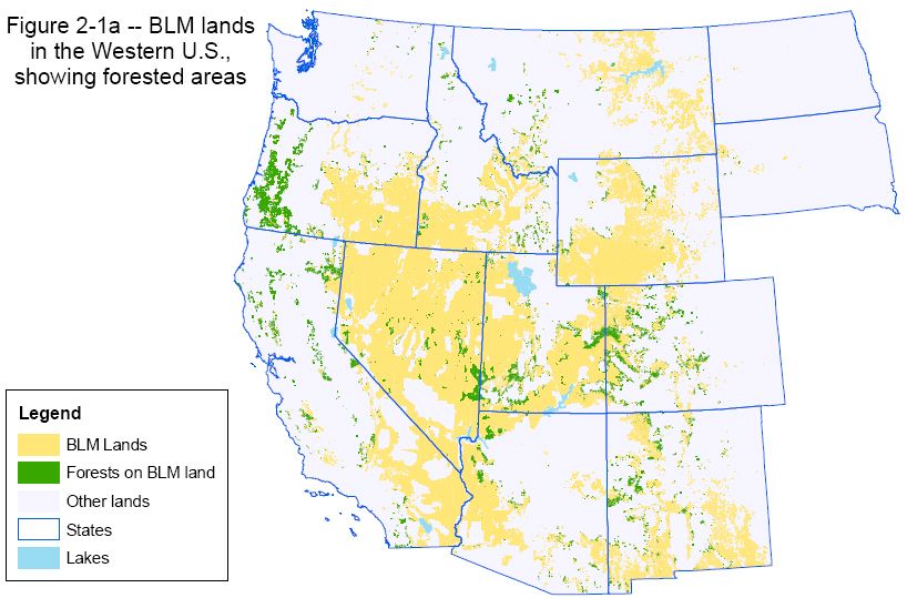 Map of forested lands managed by the BLM in the lower 48.