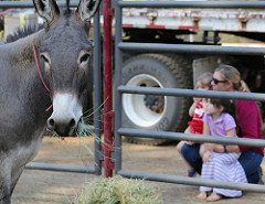 A family looks through the corral at a burro awaiting adoption. Photo by  Jeff Fontana, BLM.