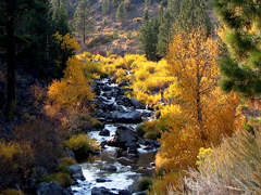 The Susan River tumbles through rocks and trees with autumn foliage (BLM Photo)